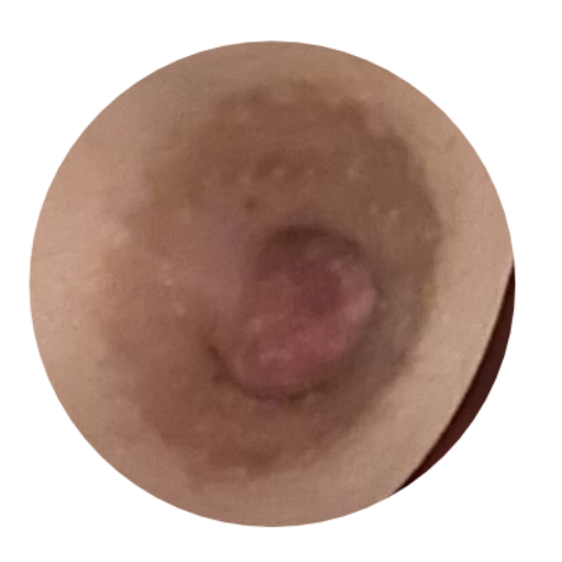 淫乱妻えりのチンポ堕ち日記